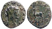 Ancient Coins - Gallienus AE20 Antoninianus. Goat walking left