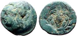 Ancient Coins - Aeolis, Elaia AE11 Athena / Grain ear in wreath