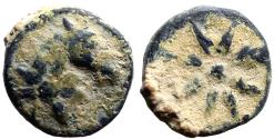 Ancient Coins - Pontos AE11  Head of horse right w. star / Comet w. 8 point tail