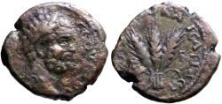 Ancient Coins - Septimius Severus AE22 Cappadocia, Caesarea. Three grain ear bundle