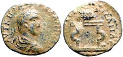 Ancient Coins - Gallienus AE28.5 Pontus, Neocaesarea. Table with prize urn
