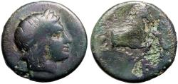 Ancient Coins - Ionia, Kolophon AE14 Apollo / forepart Horse