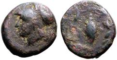 Ancient Coins - Aeolis, Elaia AE10 Athena / Grain ear in wreath