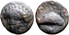 Ancient Coins - Aeolis, Grynion, AE10  Apollo / Mussel shell