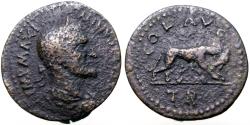 Ancient Coins - Maximinus I AE25 Alexandria, Troas. She-wolf w. Romulus & Remus