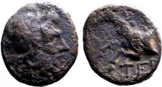 Ancient Coins - Pisidia, Termessos AE17 Zeus / forepart Horse.  thunderbolt