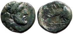 Ancient Coins - Caria, Mylasa AE11 Chalkous. Zeus Osogōs / Dolphin & trident