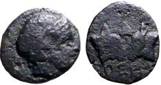 Ancient Coins - Pergamon, Mysia AE9.5 helmeted Athena / Confronting Bull heads