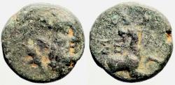 Ancient Coins - Selge, Pisidia AE13 Herakles facing / Stag