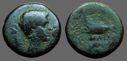 Ancient Coins - Augustus AE18 Lydia, Philadelphia.  Capricorn left, cornucopia on back