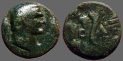 Ancient Coins - Domitian AE20 Moesia, Odessus / Cornucopia, wreath, grapes
