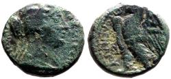 Ancient Coins - Ptolemy. Berenike II, wife of Ptolemy III.  AE15.5