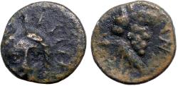 Ancient Coins - Caria, Kranaos AE11 facing radiate Helios / Grapes & crayfish