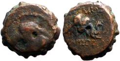 Ancient Coins - Demetrios I Soter AE13 Serrate. Horse head / Elephant head