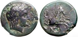 Ancient Coins - Ionia, Kolophon AE13.5 Apollo / forepart Horse