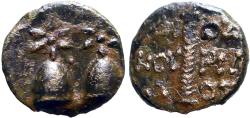 Ancient Coins - Colchis AE17 Time of Mithradates VI Eupator