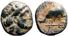 Ancient Coins - Caria, Mylasa AE11 Chalkous. Zeus Osogōs / Dolphin & trident