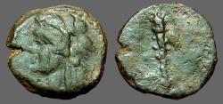 Ancient Coins - Sicily, Panormus AE12 Herakles in lionskin / Club of Herakes