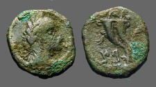 Ancient Coins - Aretas IV AE14 .9 BC- 40 AD, Parallel Cornucopia, Palm branch 