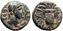 Ancient Coins - Domitian AE14 Aeolis, Elaia. Basket with poppies & grain