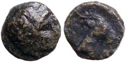 Ancient Coins - Aeolis, Aigai AE8 Laureate head of Apollo right / Head of goat right