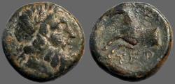 Ancient Coins - Pisidia, Termessos AE17 Zeus / forepart Horse
