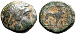 Ancient Coins - Ionia, Miletos AE14 Apollo / Lion