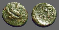 Ancient Coins - Skepsis, Troas. AE11 forepart Pegasos rt / Palm tree in linear square.