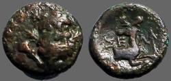 Ancient Coins - Selge, Pisidia AE13 Herakles facing / Stag