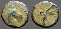 Ancient Coins - Pontos. Uncertain. AE11 Horse / filleted palm frond