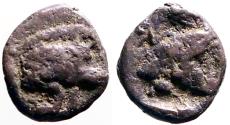 Ancient Coins - Mysia, Kyzikos AR7 Tetartemorion.  Boar / Lion