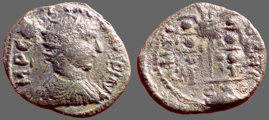Ancient Coins - Gallienus AE22 Pisidia, Antioch.  Aquila between two signa