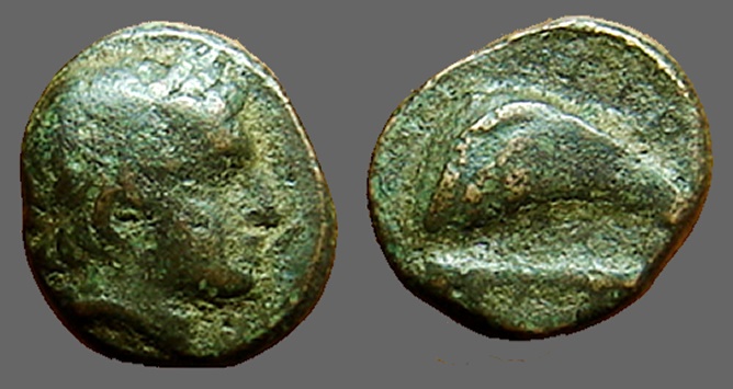 Ancient Coins - Grynion, Aeolis, AE11 Apollo / Mussel Shell, club below.