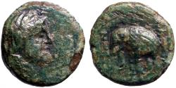Ancient Coins - Seleukid Kings. Antiochos III the Great  AE11 Apollo / Elephant