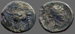 Ancient Coins - Phokis, Elateia AE17 Bull's head facing / Hd of Apollo