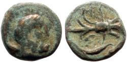 Ancient Coins - Pisidia, Selge AE13 Herakles & club / Thunderbolt & bow