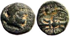 Ancient Coins - Pisidia, Selge AE13 Herakles & club / Thunderbolt & bow