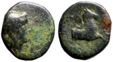 Ancient Coins - Ionia, Kolophon AE10 Apollo / Forepart of horse right.