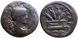 Ancient Coins - Severus Alexander AE22 Cappadocia, Caesarea. Basket filled with four grain ears