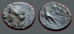 Ancient Coins - Halikarnassos Caria AE12  head of Apollo left / Eagle left, wings open