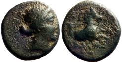 Ancient Coins - Aeolis, Kyme AE13 Amazon Kyme / forepart Horse