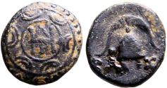 Ancient Coins - Kings of Macedon. Demetrios I Poliorketes AE16