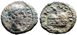 Ancient Coins - Septimius Severus AE14 Bithynia, Nicaea.  prize Urn w. palm branch