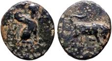 Ancient Coins - Caria, Kaunos AE12.5 Bull butting / Sphinx seated