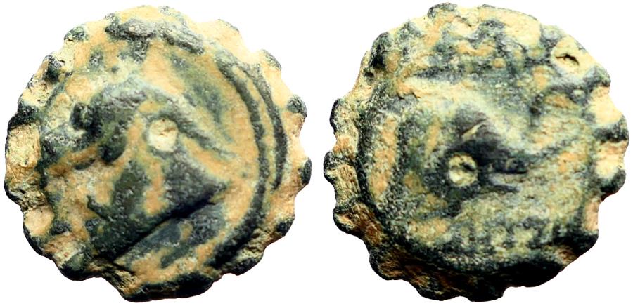 Ancient Coins - Seleukid. Demetrios I Soter AE15 Serrate. Horse head / Elephant head