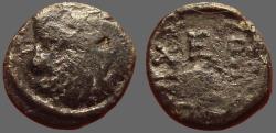 Ancient Coins - Chersonesos, Thrace AE11 Lion head / Barley Grain