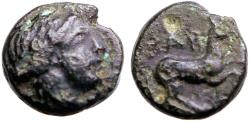 Ancient Coins - Gargara, Troas AE9 Apollo / Horse galloping