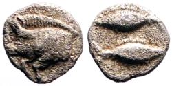 Ancient Coins - Mysia, Kyzikos AR6 Tetartemorion.  Boar / 2 Tunny Fish