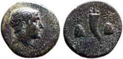 Ancient Coins - Paphlagonia, Sinope AE16 Struck under Mithradates VI