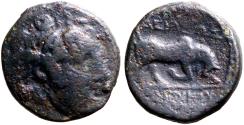 Ancient Coins - Seleukid. Seleukos I Nikator AE18.5 Winged Gorgon / Bull butting right